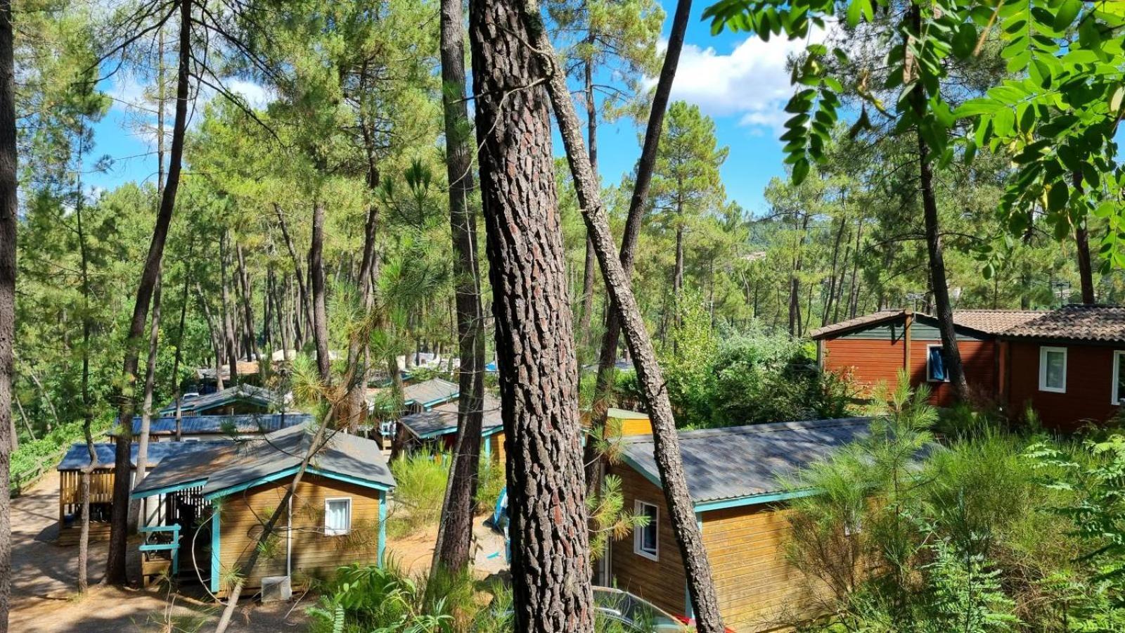 Village De Chalets Joyeuse Eksteriør billede